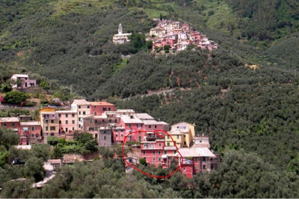 Le Case Della Lizza - Casa Rossa Levanto Luaran gambar